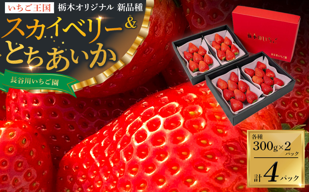 甘くて大きい！長谷川いちご園 スカイベリー ＆ とちあいか セット 計4パック | 果物 フルーツ いちご 栃木 ブランド 栃木県【フルーツ 果物 くだもの 食品 人気 おすすめ 】