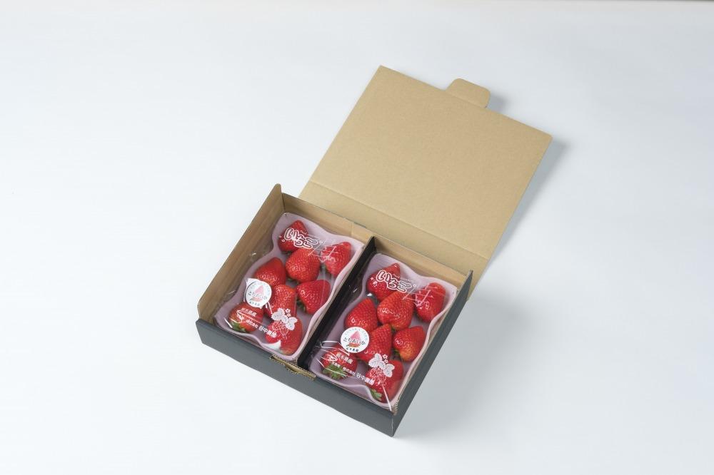 【2025年12月下旬～発送】谷中農園のいちご「 とちあいか 」約280g入（一粒約22g以上、5～9粒入り）×2パック | 果物 フルーツ いちご 栃木 ブランド 栃木県【フルーツ 果物 くだもの 食品 人気 おすすめ 】