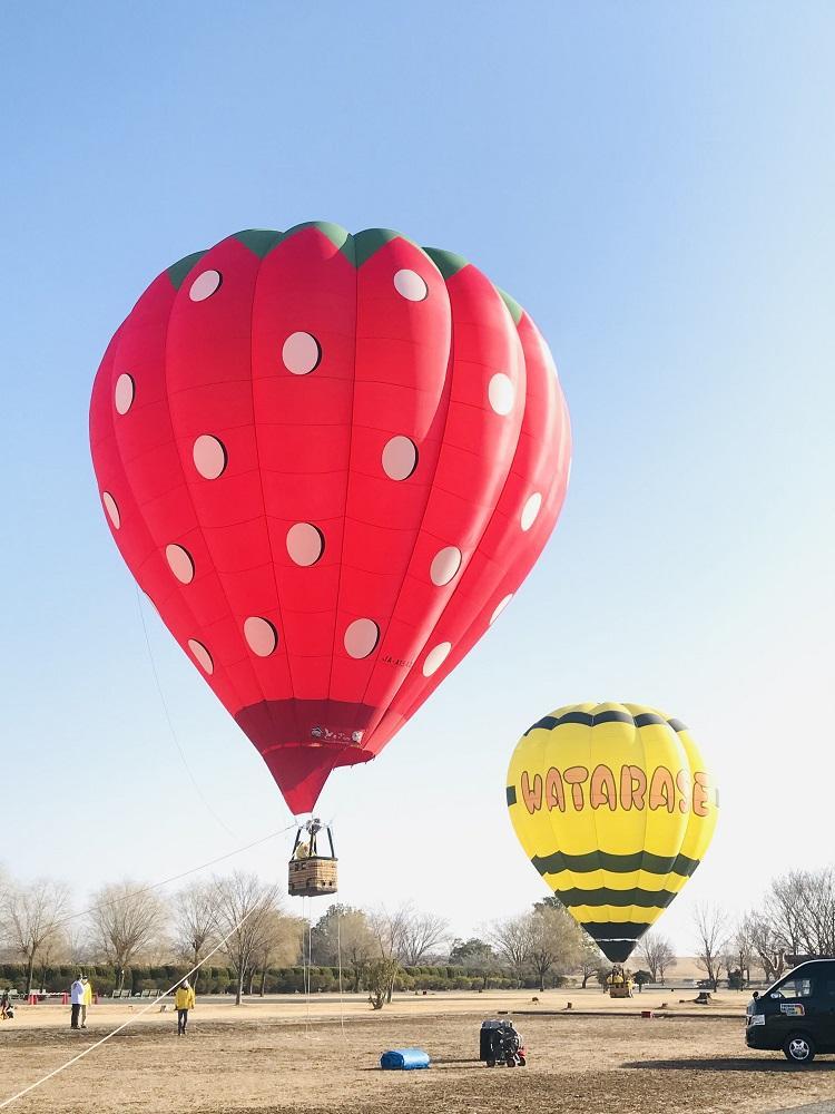 熱気球搭乗体験（係留フライト）【券 人気 おすすめ 】
