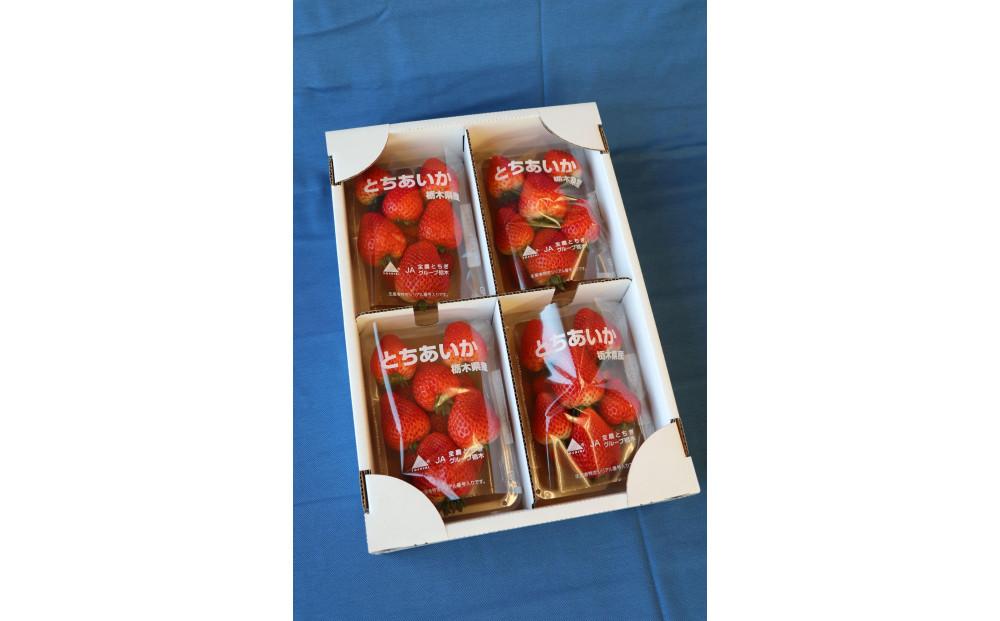 【2026年2月以降発送】JAしもつけ栃木市産とちあいか　260ｇ×４パック【フルーツ 果物 くだもの 食品 人気 おすすめ 】