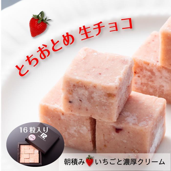  【ふるさと納税】 とちおとめ 生チョコレート（16粒入り） 栃木 とちぎ産 いちご イチゴ 苺 スイーツ 通販 お取り寄せ