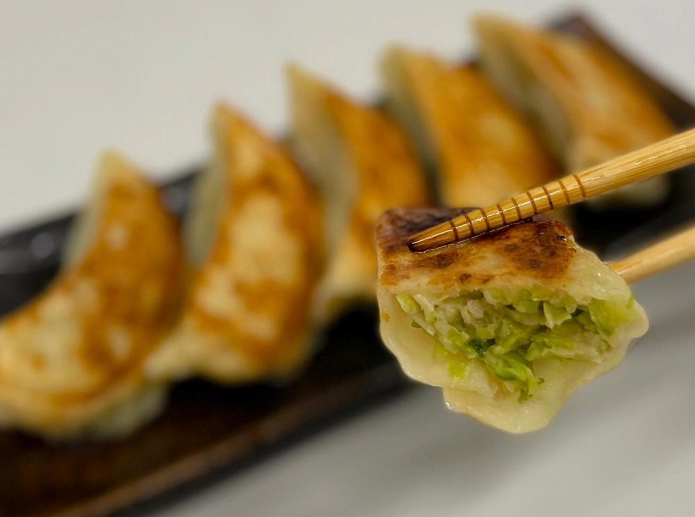 旨さ爆発！特大野菜餃子！旨すぎてすみません！【食品 加工食品 人気 おすすめ 】