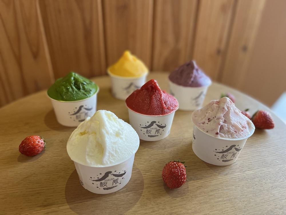 農園直営イタリアジェラートの８個セット【菓子 おかし スイーツ デザート 食品 人気 おすすめ 】