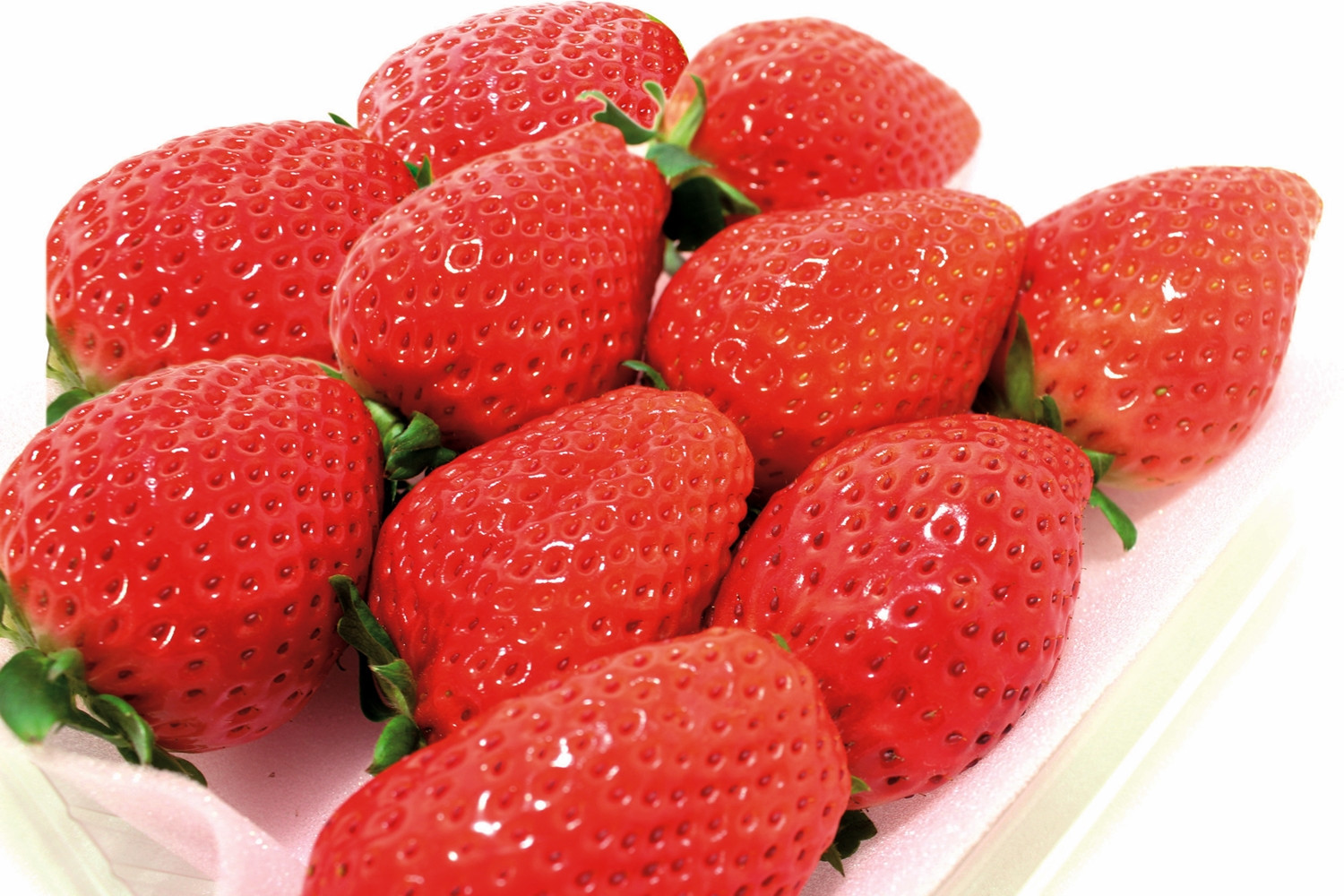 【2026年1月上旬～3月下旬発送予定】厳選！栃木市の「スカイベリー」1シート280g×2パック【フルーツ 果物 くだもの 食品 人気 おすすめ 】