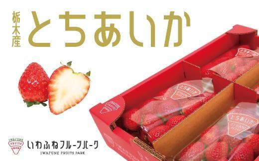 【先行予約】栃木市岩舟産とちあいか【フルーツ 果物 くだもの 食品 人気 おすすめ 】