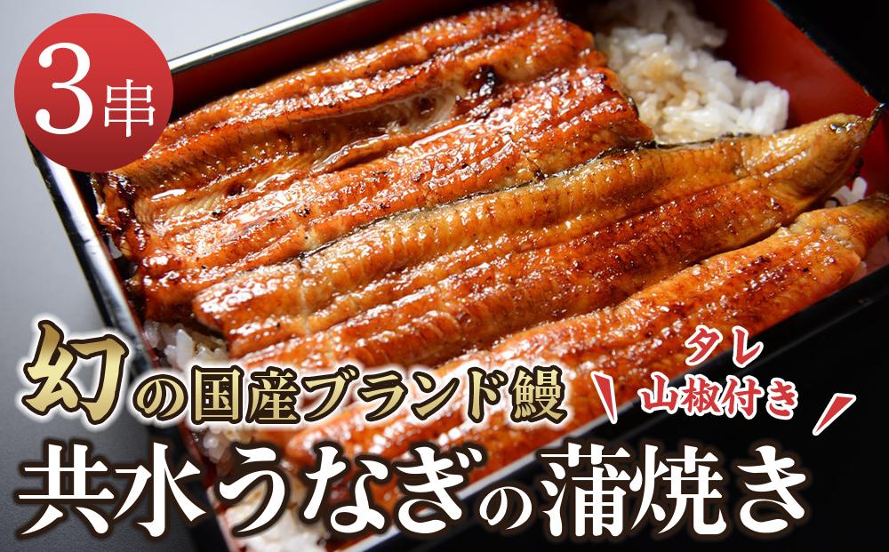 幻の国産ブランド鰻　共水うなぎのかば焼き　3串（約115g×3）タレ・山椒付き　極上の甘みとうまみ、ふっくらとした食感【鰻 魚介類 水産 食品 人気 おすすめ 】