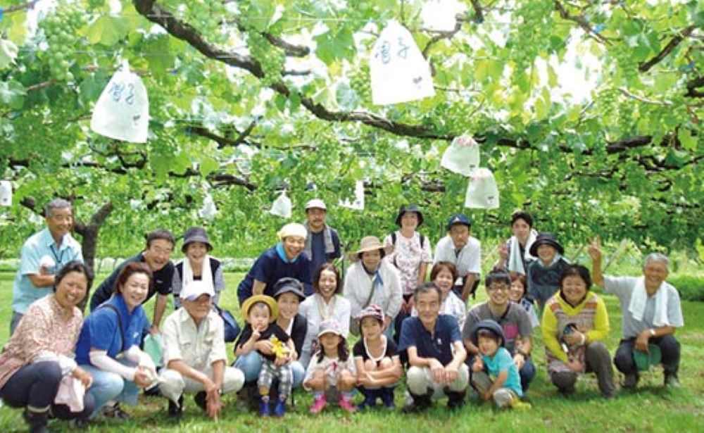 七ふしぎ農業体験（7品）【券 人気 おすすめ 】