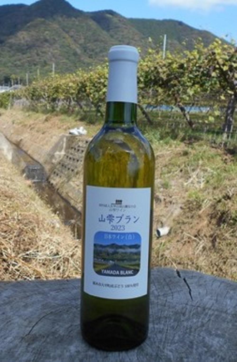 山雫ブラン：地元産ぶどう100％使用した白ワイン（720ml）【お酒 さけ 人気 おすすめ  ギフト】