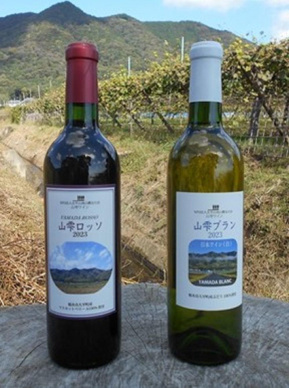 地元産ぶどう100％の赤・白ワイン２本セット（720ml各一本）【お酒 さけ 人気 おすすめ  ギフト】