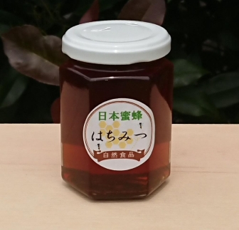 日本蜜蜂のハチミツ100%!はちみつ(1本)