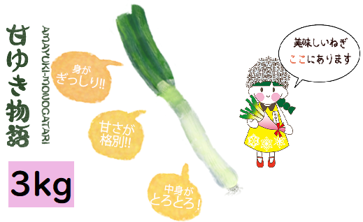 [先行受付・12月以降お届け]甘ゆき物語3kg[野菜 やさい 食品 人気 おすすめ 送料無料]