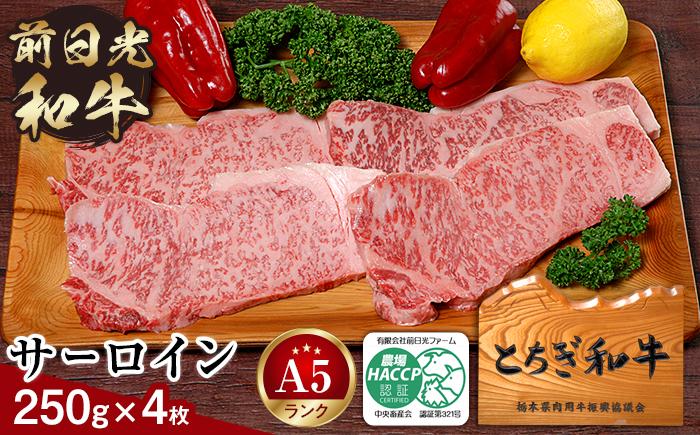 とちぎ和牛・前日光和牛（サーロイン250ｇ4枚）｜肉 お肉 和牛 最高級 A5ランク A5等級 ステーキ