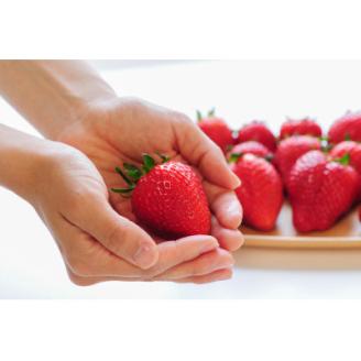 世界に誇れる三ツ星いちご　大粒『スカイベリー』(300g×2パック)【配送不可地域：離島】