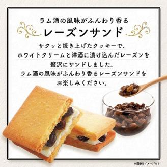 【中山製菓】レーズンサンド20個入