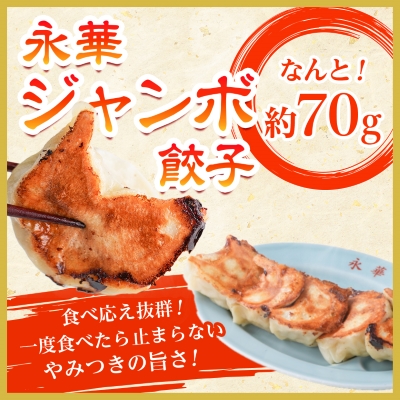 佐野餃子(大)10個2人前×2パックと佐野餃子(中)24個4人前×2袋【配送不可地域：離島・沖縄県】