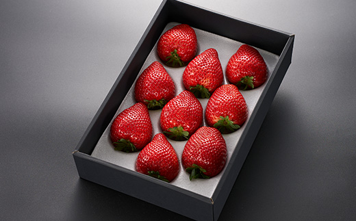 栃木県 いちご 新品種【とちあいか】 9粒～12粒 約450g【配送不可地域：離島】