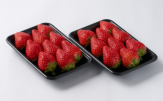 栃木県佐野産完熟いちごスカイベリー【配送不可地域：離島・沖縄県・九州】