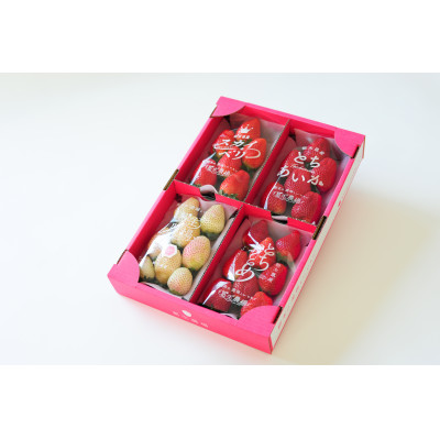 【春いちご 】栃木のいちご4種詰め合わせセット!(300g×4パック)【配送不可地域：離島】