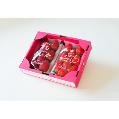豪華!栃木イチゴ2種(スカイベリー・とちあいか)大粒 食べ比べセット(300g×2パック)【配送不可地域：離島・沖縄県】