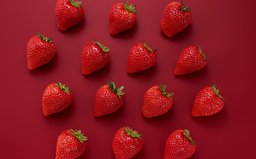 新品種栃木県佐野産とちあいか　280g×2パック【配送不可地域：離島・沖縄県】