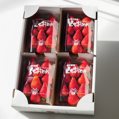 春イチゴ『とちおとめ』(260g×4パック)【配送不可地域：離島】