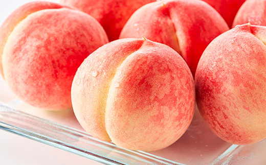 【旬の桃】栃木県佐野市の人気観光農園で収穫された、新鮮な桃およそ1.8kg(5～8玉)品種おまかせ【配送不可地域：離島・沖縄県】