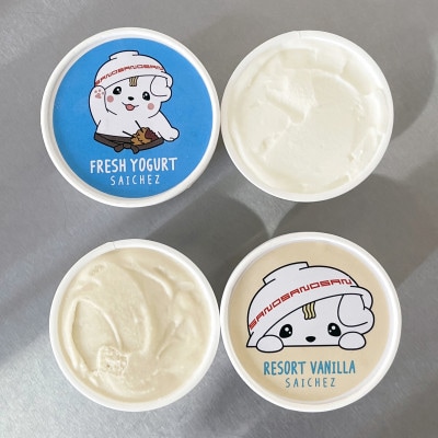 さのまるフローズンヨーグルト〈 とちおとめ・ヨーグルト・バニラ 〉 計11個セット【配送不可地域：離島】