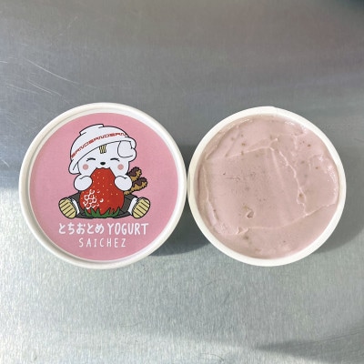 いちご50%使用!栃木県産いちごヨーグルトアイス〈とちおとめ・とちあいか〉 10個セット【配送不可地域：離島】