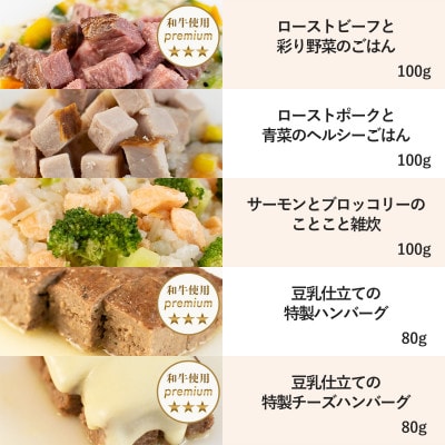 【プレミアム・ドッグミールセットB】犬用ごはん 無添加 手作り Idea dog chef【配送不可地域：離島】