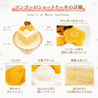 【マンゴーのショートケーキセット】犬のケーキ・ごはん 無添加 手作り Idea dog chef【配送不可地域：離島】