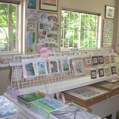 安藤勇寿「少年の日」美術館・御招待券とぬりえポストカード