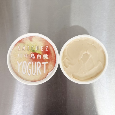 フローズンヨーグルト〈定番3種類・川中島白桃3・パイナップルココナッツ2〉　アイスクリーム　【配送不可地域：離島】