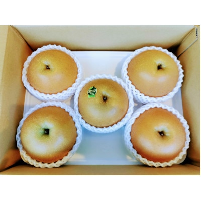 栃木県佐野市産　梨「にっこり」4～5玉入り(1玉 約600g～750g)