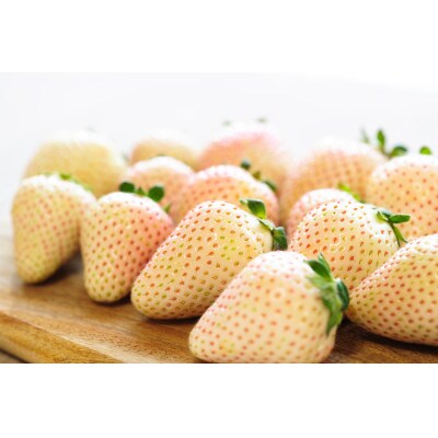 開けてビックリ!!大粒『ミルキーベリー』(300g×4パック)【配送不可地域：離島】