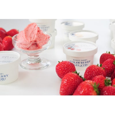 栃木のいちご4品種 ジェラート詰め合わせ 12個(4種×各3)【配送不可地域：離島】