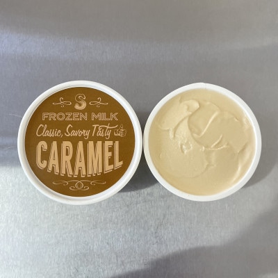 フローズンヨーグルト〈定番3種類・クラシックキャラメル3・プラム2〉ヨーグルト　アイスクリーム　【配送不可地域：離島】