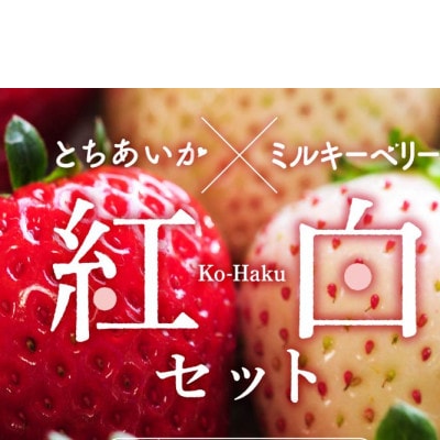 紅白いちご(とちあいか、ミルキーベリー)大粒 詰め合わせ(300g×1パックずつ)【配送不可地域：離島】