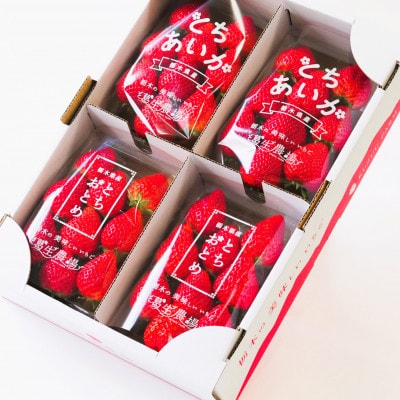 いちご生産量日本一栃木産　春イチゴ『とちおとめ』『とちあいか』 (260g×4パック)食べ比べセット【配送不可地域：離島】