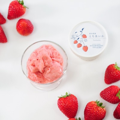 栃木のいちご4品種 ジェラート詰め合わせ 6個【配送不可地域：離島】