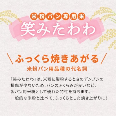 お米の粉V3　笑みたわわ使用 800g×2袋