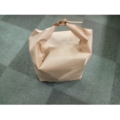 無印米袋30kg×100枚