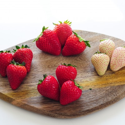 【春イチゴ】「2品種以上組み合わせ!」食べ比べセット(260g×4パック)【配送不可地域：離島】