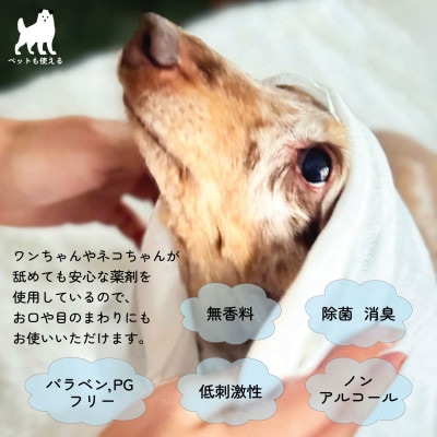 ペット用ウェットシート 個包装紙おしぼり WANPO 50本