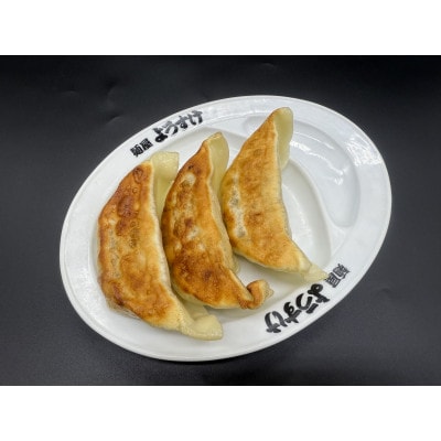 麺屋ようすけ大餃子10個入り×4袋【配送不可地域：離島】