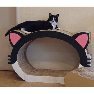 ネコの爪とぎ(段ボール・無地)