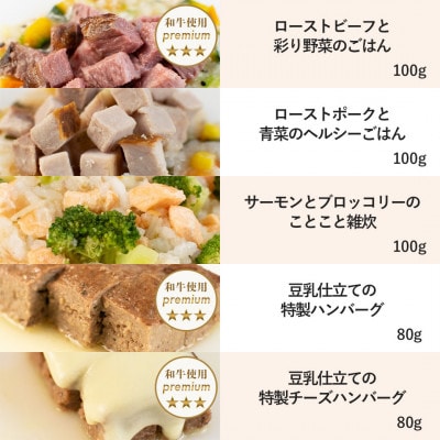 【プレミアム・ドッグミールセットB】犬用ごはん 無添加 手作り Idea dog chef【配送不可地域：離島】