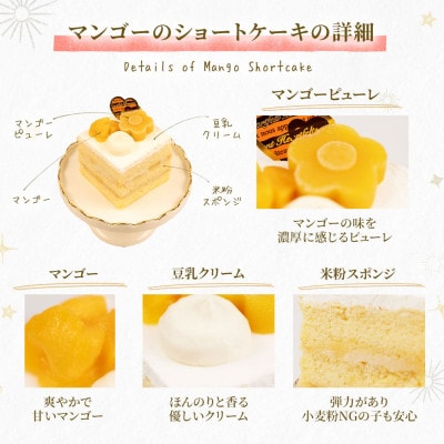 【マンゴーのショートケーキセット】犬のケーキ・ごはん 無添加 手作り Idea dog chef【配送不可地域：離島】