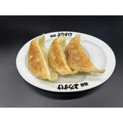 佐野の名店食べ比べ!麺屋ようすけ大餃子＆永華野菜餃子セット【配送不可地域：離島】