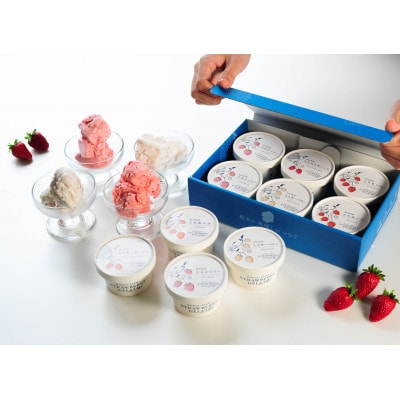 【発送月固定定期便】【2・3・4・7月】栃木のいちご2パックと夏のジェラート定期便!全4回【配送不可地域：離島・沖縄県】