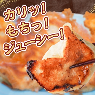 佐野餃子(大)10個2人前×2パックと佐野餃子(中)24個4人前×2袋【配送不可地域：離島・沖縄県】